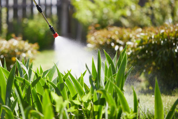 24/7 Emergency Mosquito Control experts in Bullhead City, AZ