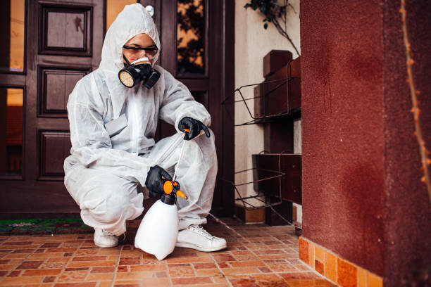 Reliable Mosquito Control contractor in Bullhead City, AZ by Nex Pest Control