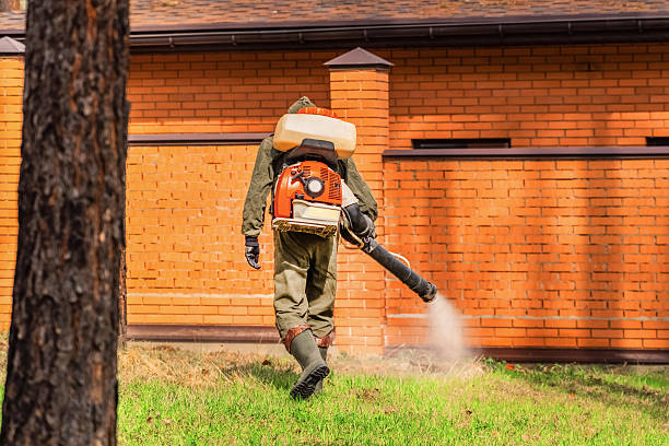 Trusted Fumigation Services service in Bullhead City, AZ - Nex Pest Control